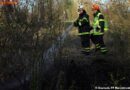 Oö: Flurbrand in Marchtrenker Au-Gebiet
