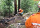 Oö: Nächtlicher Waldbrand auf der „Ewigen Wand“