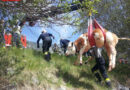 Tirol: Feuerwehren retten in Haiming Kalb aus dem Inn