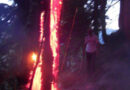 Stmk: Erneuter Waldbrand in Donnersbachwald