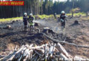 Nö: Waldbrandeinsatz in Groß Siegharts