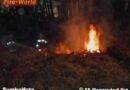 Bgld: Flurbrand droht auf einen Wald überzugreifen
