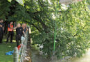 Bayern: Motorroller aus der Isar geborgen