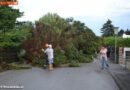 Nö: Unwetter im ganzen Ortsgebiet von Steinabrückl