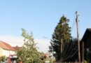 Nö: Stromleitung über Bundesstraße