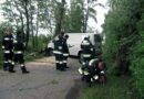 Bgld: Baum nach Unfall mit Pkw umgestürzt