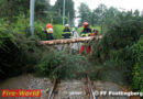 Oö: Sturmschaden Pöstlingbergbahn am 28.07.2012