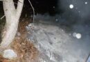 Nö: 20m² Wald nach Blitzschlag in Flammen