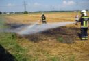 Oö: Feldbrand ind er Entstehungsphase entdeckt