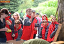 Oö: 6-Bezirke-Jugendlager 2012 in Taufkirchen/Pram voll im Gange