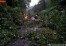 Nö: Strasse nach Unwetter auf 500m mit Bäumen blockiert