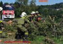 Nö: Angelobung und Einsatz beim Familiengrillfest der Feuerwehr