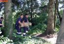 Stmk: Tierrettung in Eibiswald –> Feuerwehr fängt Schaf