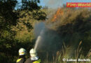 Nö: Bahndammbrand zwischen Mödling und Guntramsdorf