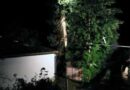 Oö: Blitzschlag in Baum -> Instabilen Baum mittels Kran entfernt