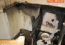Vbg: Kühlschrank durch technischen Defekt in Brand