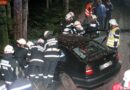 Stmk: Fahrzeuglenker prallt gegen einen Baum