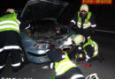 Bgld: Fahrzeugbergung nach einem Wildunfall