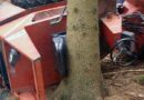 Oö: Zwei Feuerwehren nach Forstunfall im Einsatz