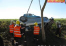 Nö: Mit Autodach voran gegen Baum -> B4, Großweikersdorf