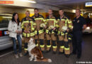 Nö: FF Vösendorf befreit Australian Shepherd „Sammy“ aus Kofferraum