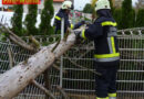 Nö: Sturmschadeneinsatz in Gänserndorf – Baum stürzte auf Zaun