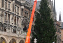 Bayern: „Es weihnachtet sehr!“ – Feuerwehr München stellt Christbaum auf