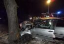 Nö: Pkw mit vier Insassen prallt gegen einen Baum