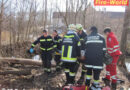 Nö: Person nach Forstunfall in Notlage