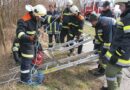 Nö: Jährliche Einsatzmaschinistenausbildung in Grafenwörth