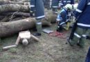 Oö: Gemeinschaftsübung der Taufkirchner Feuerwehren