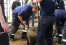 W: Aufwendige Rettung einer vermissten Katze