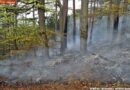 Nö: Rauch am Lindkogel – Stundenlanger Einsatz für 7 Feuerwehren