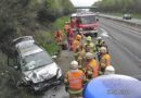 Oö: Sträucher bremsen Fahrzeug bei Unfall auf der A8
