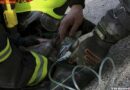 Oö: Katze nach Küchenbrand mit Sauerstoff behandelt