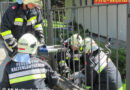 Nö: Wieder steckte Reh in Kaltenleutgeben im Gartenzaun fest