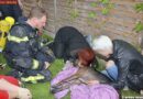 Nö: Bewusstloser Hund bei Dachstuhlbrand gerettet