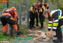 Bayern: Hund in letzter Minute aus Schacht gerettet