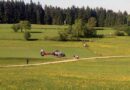 Oö: Erfolgreicher Sucheinsatz mit Feuerwehr und Rettungshunden