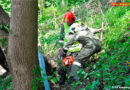 Oö: Baum stürzt auf Haus – Einsturzgefahr!