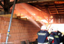 Nö: Schweine bei Stadlbrand in letzter Sekunde aus Flammen gerettet