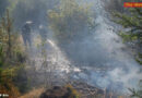 Tirol: Waldbrand in Silz beschäftigt zwei Feuerwehren