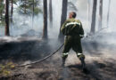 Bgld: Waldbrand am Schmalztegl in Wiesen