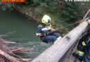 Stmk: Feuerwehr entfernt Verklausung bei Brücke