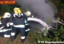 Nö: Audi A6 bei Engelhartstetten in Vollbrand