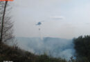 Stmk: Waldbrand in Graz Gösting: Hubschrauber und Feuerwehren im Einsatz