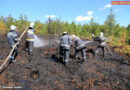 Stmk: 100 Feuerwehrangehörige bei Waldbrand im Einsatz