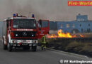 Nö: Flurenbrand auf 1.000 m2 in Kottingbrunn