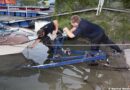 Nö: Bootsbergung im Kremser Yachthafen
