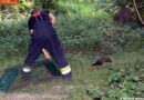Nö: Gefangene Marder in die Freiheit entlassen